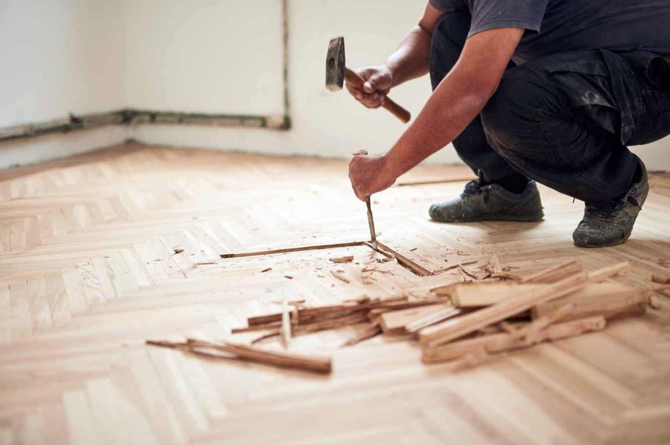 Grounded in Precision and Renewal